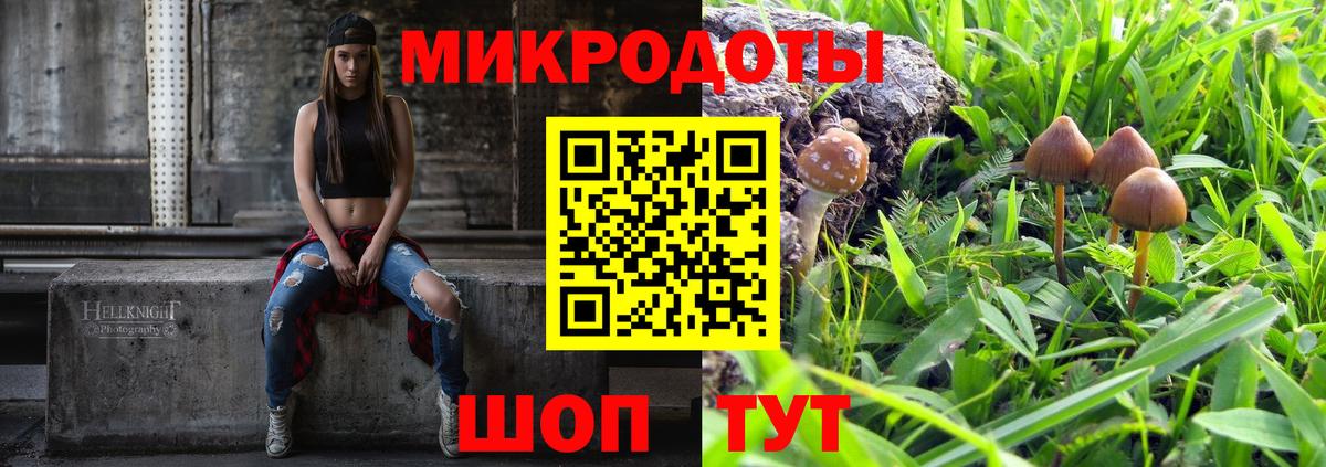 закладка  Вход с VPN  Черкесск  Псилоцибиновые грибы Cubensis 
