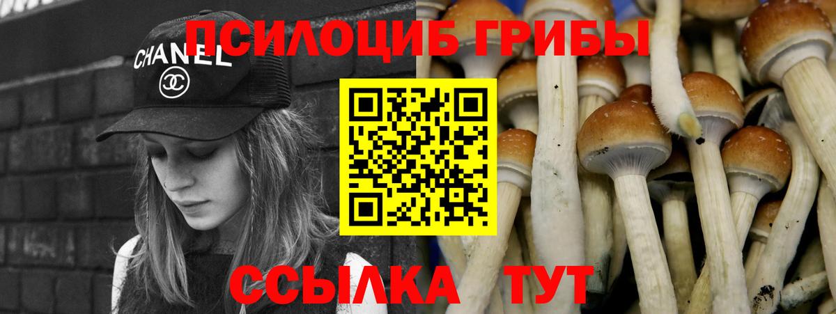 Галлюциногенные грибы MAGIC MUSHROOMS Черкесск